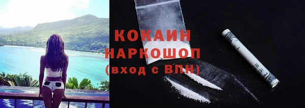 спайс Дмитриев