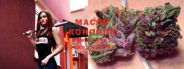 спайс Дмитриев