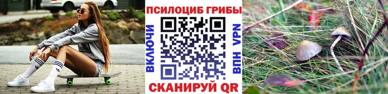 Купить где  Ростов  Галлюциногенные грибы Psilocybe 